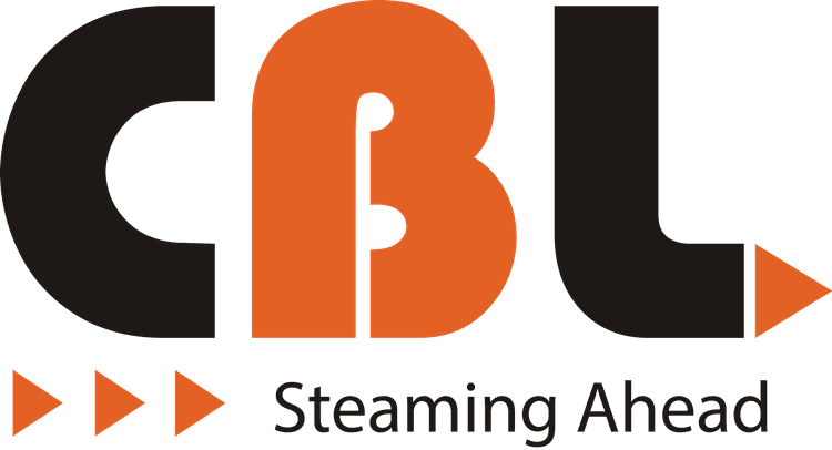 CHEEMA BOILERS LIMITED logo